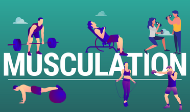 musculation